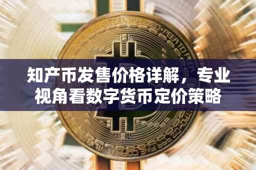 知产币发售价格详解，专业视角看数字货币定价策略