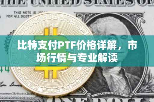 比特支付PTF价格详解，市场行情与专业解读