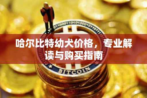 哈尔比特幼犬价格，专业解读与购买指南