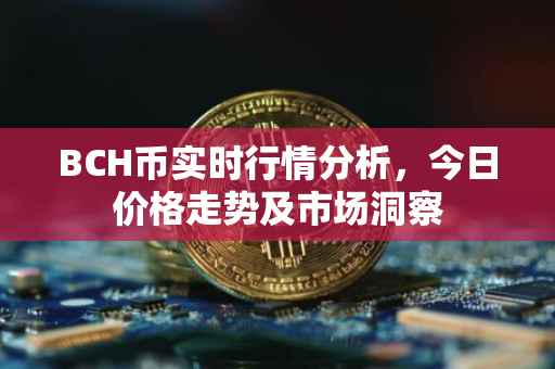 BCH币实时行情分析,今日价格走势及市场洞察