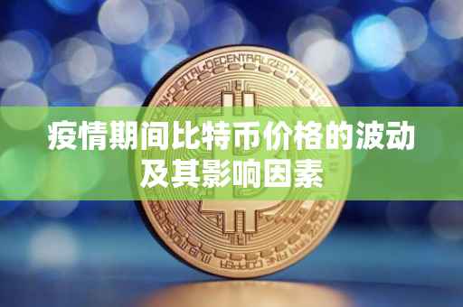 疫情期间比特币价格的波动及其影响因素