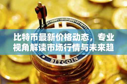 比特币最新价格动态，专业视角解读市场行情与未来趋势