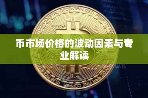 币市场价格的波动因素与专业解读