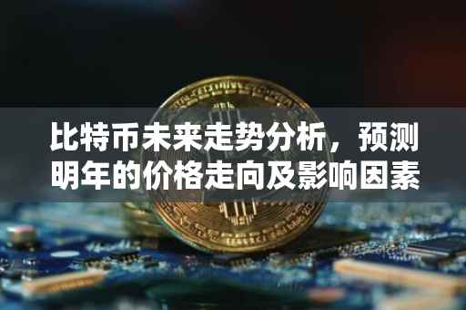 比特币未来走势分析，预测明年的价格走向及影响因素