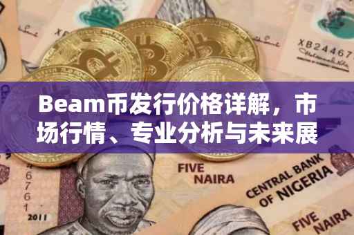 Beam币发行价格详解，市场行情、专业分析与未来展望