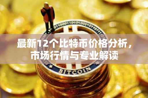 最新12个比特币价格分析，市场行情与专业解读