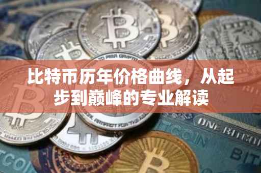 比特币历年价格曲线，从起步到巅峰的专业解读