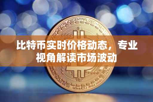 比特币实时价格动态，专业视角解读市场波动
