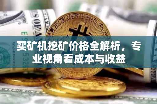 买矿机挖矿价格全解析，专业视角看成本与收益