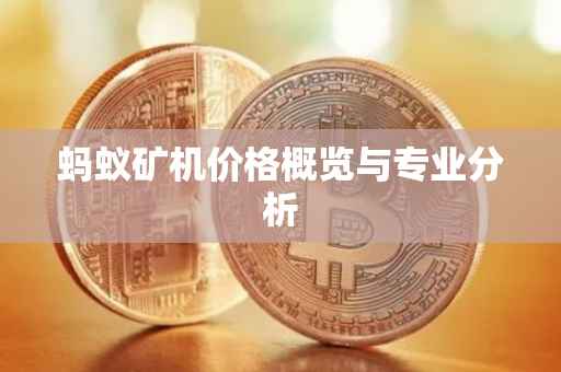 蚂蚁矿机价格概览与专业分析