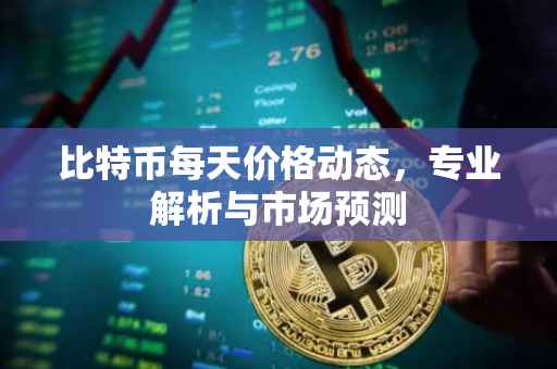 比特币每天价格动态，专业解析与市场预测