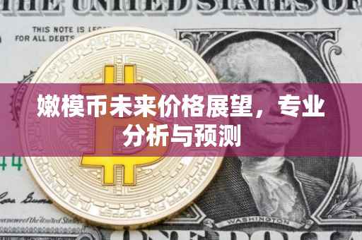 嫩模币未来价格展望，专业分析与预测
