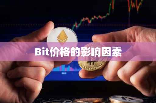 Bit价格的影响因素