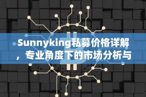 Sunnyking私募价格详解，专业角度下的市场分析与评估