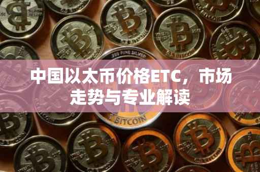 中国以太币价格ETC，市场走势与专业解读