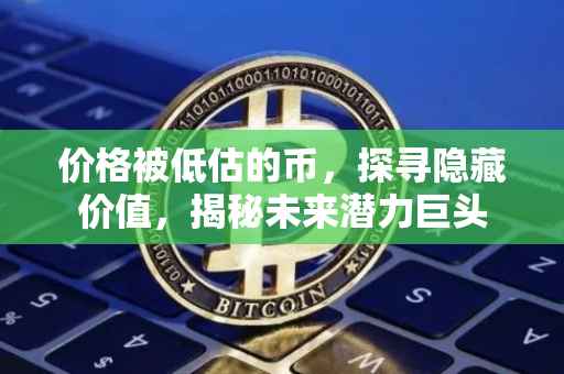 价格被低估的币，探寻隐藏价值，揭秘未来潜力巨头
