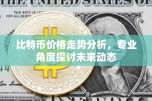 比特币价格走势分析，专业角度探讨未来动态