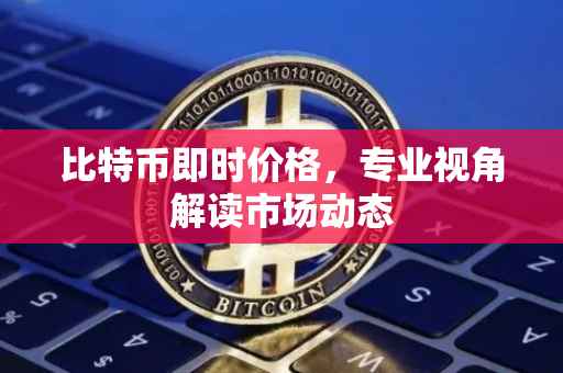 比特币即时价格，专业视角解读市场动态