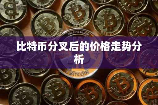比特币分叉后的价格走势分析