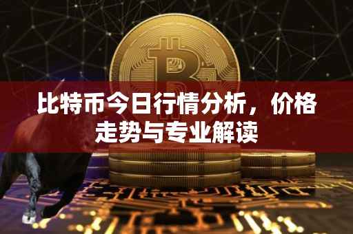 比特币今日行情分析，价格走势与专业解读