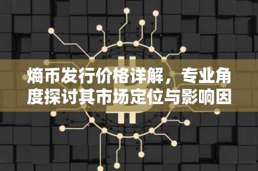 熵币发行价格详解，专业角度探讨其市场定位与影响因素