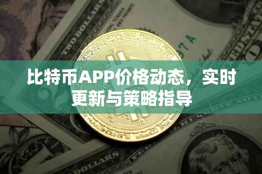 比特币APP价格动态，实时更新与策略指导