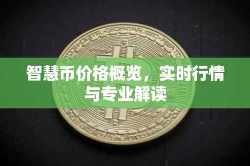 智慧币价格概览，实时行情与专业解读