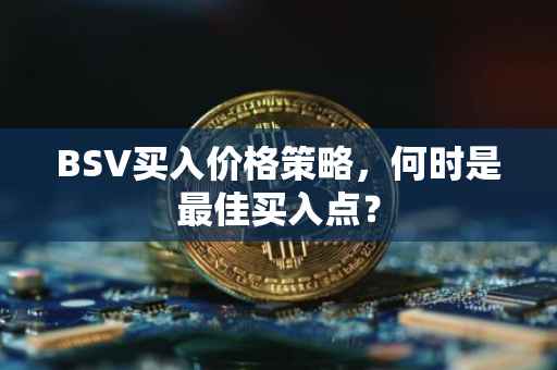 BSV买入价格策略，何时是最佳买入点？