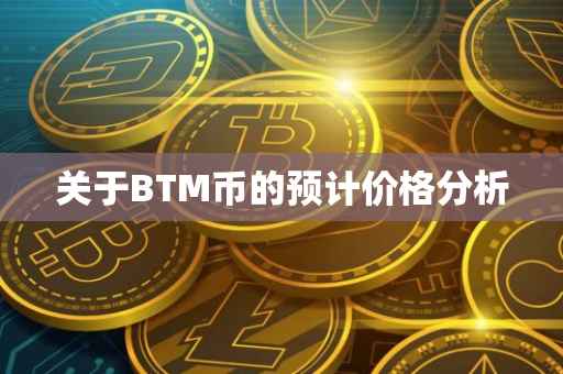 关于BTM币的预计价格分析
