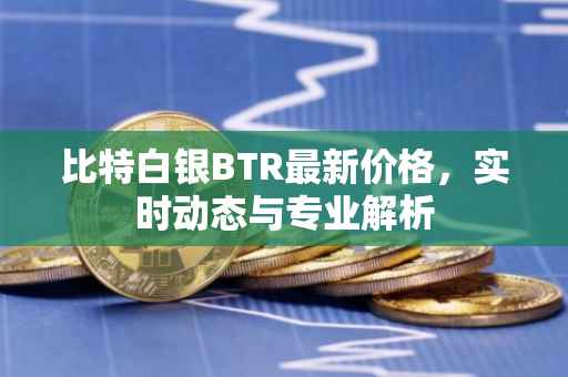 比特白银BTR最新价格，实时动态与专业解析