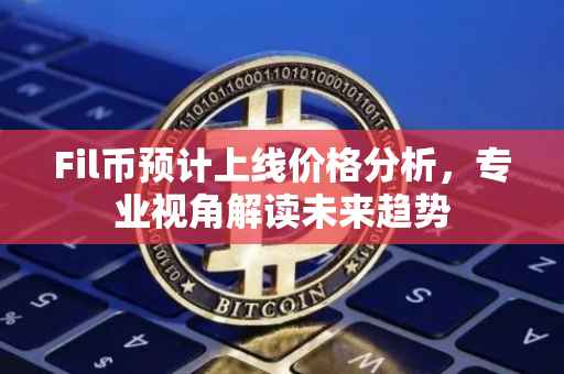 Fil币预计上线价格分析，专业视角解读未来趋势