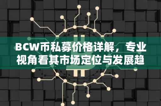 BCW币私募价格详解，专业视角看其市场定位与发展趋势