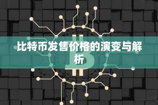 比特币发售价格的演变与解析
