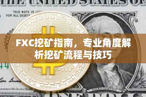 FXC挖矿指南,专业角度解析挖矿流程与技巧