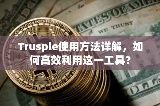 Trusple使用方法详解，如何高效利用这一工具？