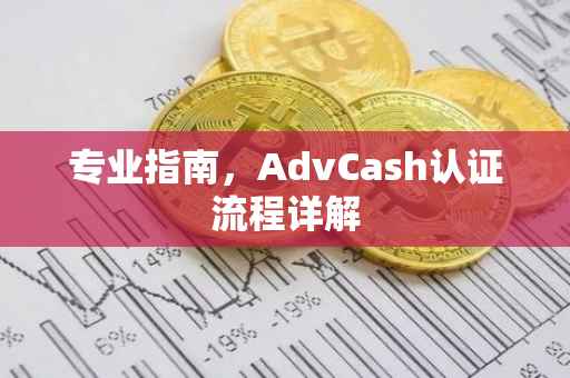 专业指南,AdvCash认证流程详解