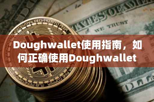 Doughwallet使用指南，如何正确使用Doughwallet进行财务管理？