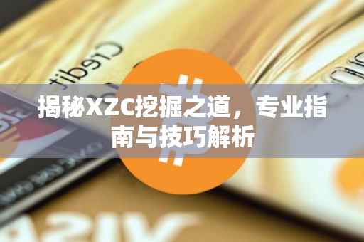 揭秘XZC挖掘之道,专业指南与技巧解析