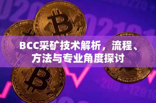 BCC采矿技术解析，流程、方法与专业角度探讨