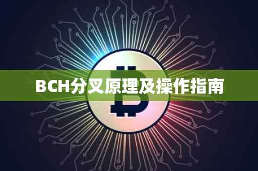 BCH分叉原理及操作指南