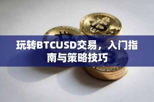 玩转BTCUSD交易，入门指南与策略技巧