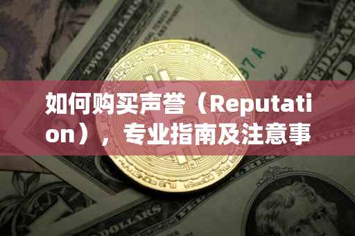 如何购买声誉（Reputation），专业指南及注意事项
