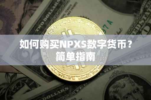 如何购买NPXS数字货币？简单指南