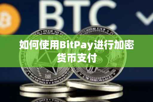 如何使用BitPay进行加密货币支付
