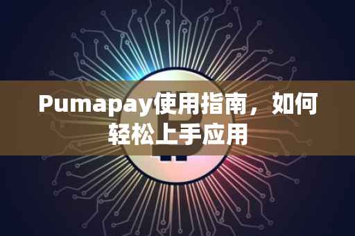 Pumapay使用指南，如何轻松上手应用
