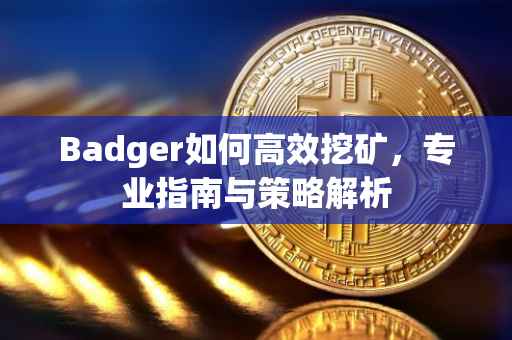 Badger如何高效挖矿，专业指南与策略解析