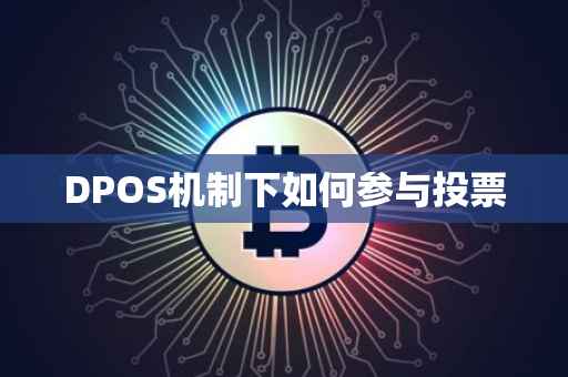 DPOS机制下如何参与投票