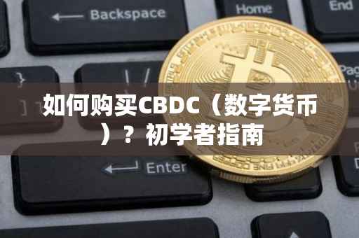如何购买CBDC（数字货币）？初学者指南