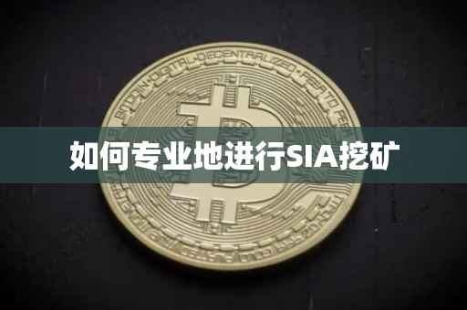 如何专业地进行SIA挖矿