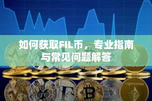 如何获取FIL币，专业指南与常见问题解答